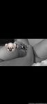 Leaked Steph Murves nude gal mega pack part 4
