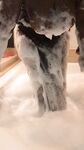 Nikiarenee onlyfanssex gals pack
