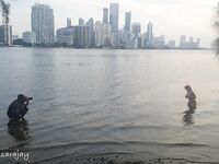 Miami onlyfans xxx photos leaks mega pack