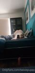 Fresh onlyfans twixiepuppy xxx image leaks