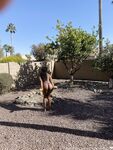 Lovelynikki2210 leaked onlyfans nude gallery part 4
