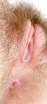 Lily Louioe onlyfans sex gals part 2
