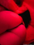 Fresh Lilah aka Lilahanne onlyfans sex images part 4
