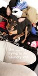 Layna Boo terrific onlyfans sex gals pack part 8
