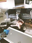 Lauren Summer Patreon onlyfans nude gals mega pack part 4
