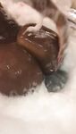 Iam_cateyes fresh onlyfans nude images pack part 2

