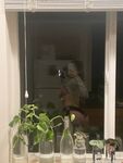 DickAllergy onlyfans sex pictures part 4

