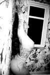 Onlyfans Christy Mack sex images pack part 2
