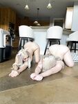 yourpuppygirl outstanding onlyfans nude picture leaks part 7
