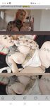 Fresh onlyfans Bec Harris nude gallery pack part 3
