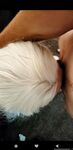 Good Girl Baybie fresh onlyfans porn photo

