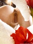 Onlyfans MiaBandini69 nude photo leaks part 4
