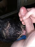 Terrific onlyfans bigbootybaddie sex images part 8
