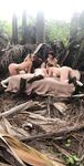 Leaked Nina Kayy onlyfans sex gallery part 4
