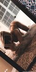 Scotty Joe246 leaked onlyfanssex picture pack part 5
