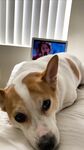 Emily Cheree leaked xxx gal pack part 4
