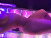 Steph Murves leaked xxx pictures mega pack part 4
