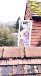 Leaked Belle Delphine onlyfans porn photos part 2
