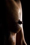 body-lady leak onlyfans