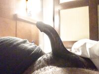 Hammer curve dick