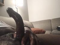 Hammer curve dick