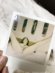 Namimamilune by Professor onlyfans hot sex photo mega pack 4
