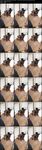 Onlyfans Miss Raquel xxx pictures mega pack part 2
