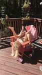 Kenziereevesxxx fresh onlyfanssex photo pack
