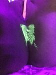 Dani Sorrento onlyfans nude photo part 1
