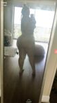 Curvesandlove fresh onlyfans gallery part 1
