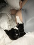 Fresh Chardonnay onlyfanssex gals pack
