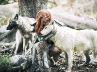 Onlyfans Aela Huntress sex photos leaks mega pack part 2
