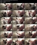 Lady Fyr3 onlyfans porn photos pack
